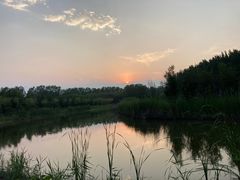 -东郊湿地公园