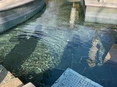 -苏州湾·王焰温泉