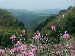 -南尖岩景区