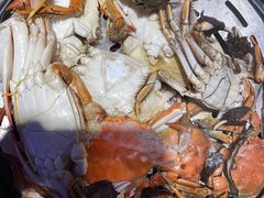 蒸汽海鲜-乔哥铭洋海鲜自助(皇城恒隆广场店)