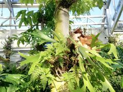 -国家植物园南园