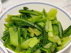 -壹盏灯(惠农店)