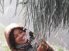 -山王坪喀斯特国家生态公园