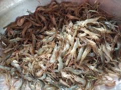 -夏家大锅台炖鱼馆