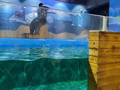 -顺德南宏海立方海洋公园