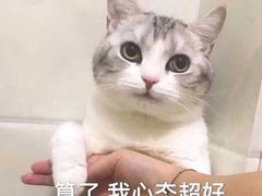 -茉沏(相城天虹店)