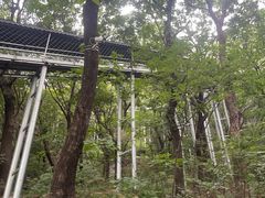 -大芦花风景区
