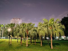-东风公园