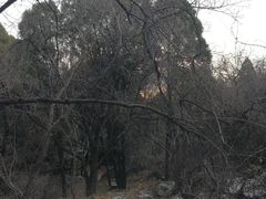 -狼牙山风景区