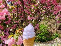 -云峰山自然风景区