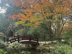-中国茶叶博物馆(双峰馆区)