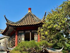 -碧江金楼