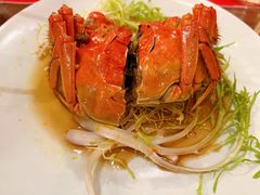 -七菜馆·东北菜·蒸饺(文体路店)