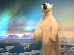 -陕西自然博物馆