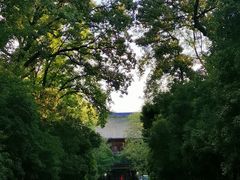 -灵谷景区