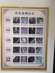 -森林头疗美容养发馆