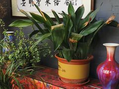 -北京阅微庄四合院文化特色酒店