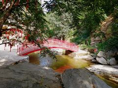 -黑龙潭风景区