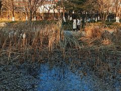 -丰台科技园生态主题公园