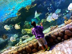 -华夏文旅海洋公园