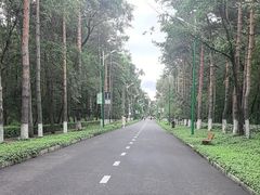 -黑龙江省森林植物园