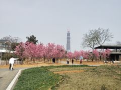 -往来·竹里.宝宝宴.生日宴.团建.宴席(花乡农居店)