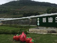 -普迪生态园