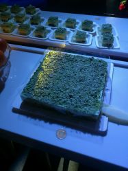 -安利上海体验馆