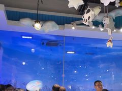 -海合安成都极地海洋公园