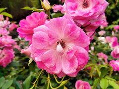 -人民公园(罗湖区)