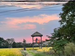 -莲花岛景区