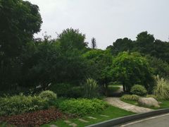 -后襄河公园
