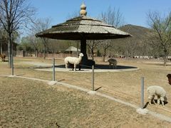 -石家庄市动物园