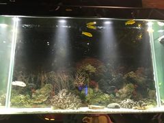 -泰谷酒店·太古码头闽菜自助餐厅