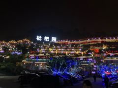 -枇杷园食为鲜火锅(南山店)