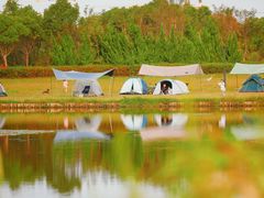 -春花秋色城市公园