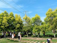 -紫颐香薰山谷景区