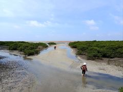-北海金海湾红树林生态旅游区