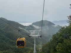 -栾川竹海野生动物园