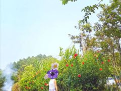 -广州市帽峰山景区