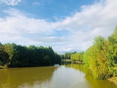 -上海海湾国家森林公园