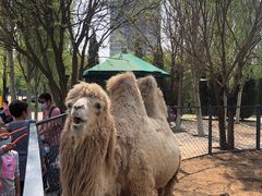 -长白岛森林公园