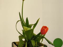 -chi K11艺术空间展览厅