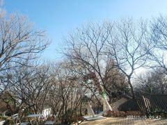 -寂照庵