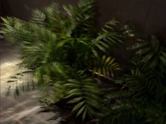 -唐宫足道·SPA·住宿24H会所(木渎店)