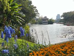 -荔湾湖公园