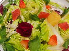 果蔬大拌菜-北平盛世·新京菜·北京烤鸭(劲松·双井店)