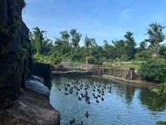 -海南热带野生动植物园