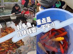 -成飞公园