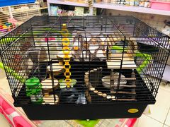 -钓仓鼠(洋桥北里小区店)